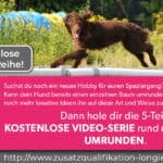 Werbebild kostenlose Umrundungs-Video-Serie