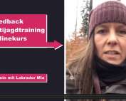 Feedback von Jasmin mit Labrador Mia zum Antijagdtraining Onlinekurs