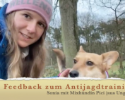 Feedbackbild Sonia und Schäferhundmix Picci