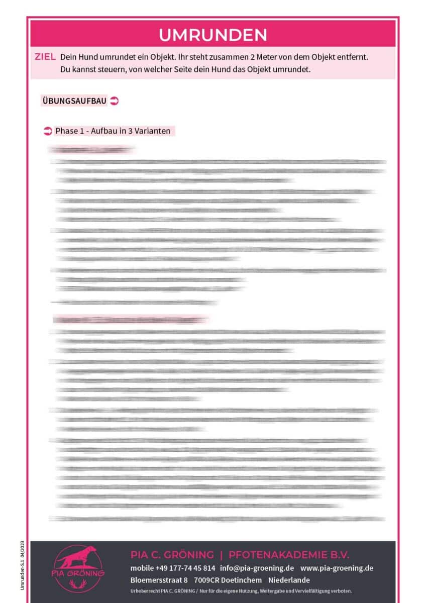 Umrunden (personalisiertes Handout für Trainerkollege/innen)