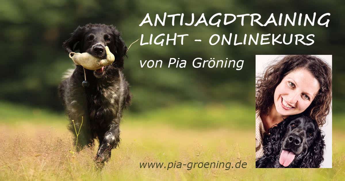 Werbebild Antijagdtraining Onlinekurs Light Version