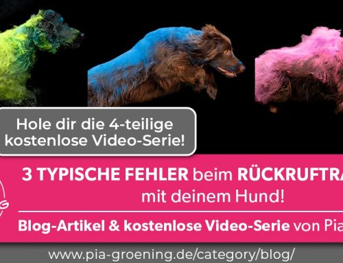 3 typische Fehler beim Rückruftraining mit deinem Hund