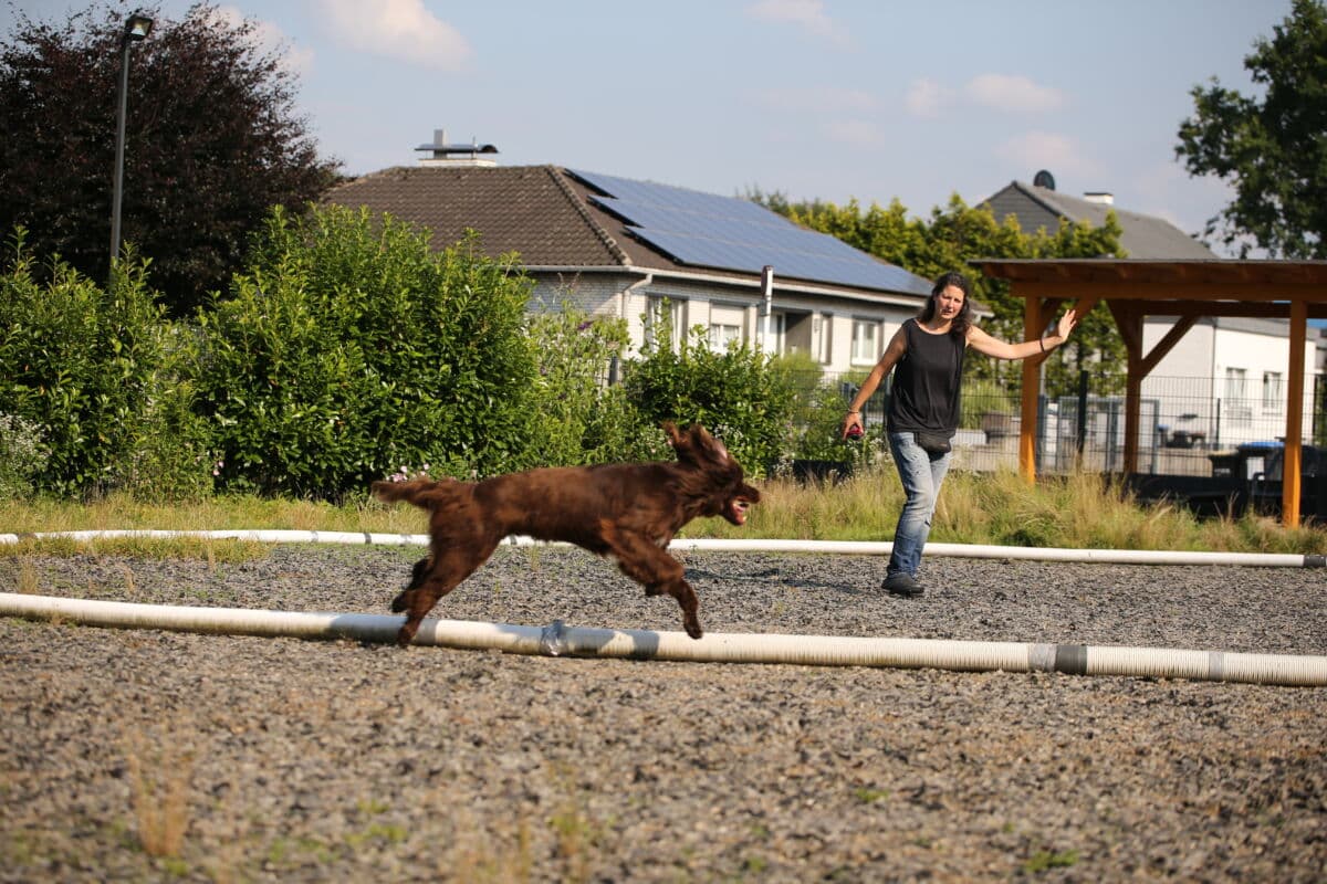Pia Mit Ardo am Longierkreis