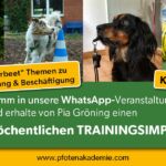 Werbebild zum kostenlosen Trainingsimpuls in unserer Veranstaltungsgruppe