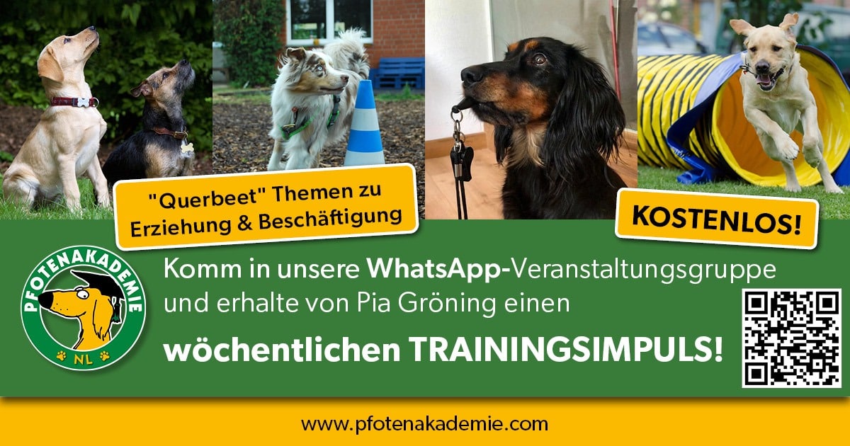 Werbebild zum kostenlosen Trainingsimpuls in unserer Veranstaltungsgruppe