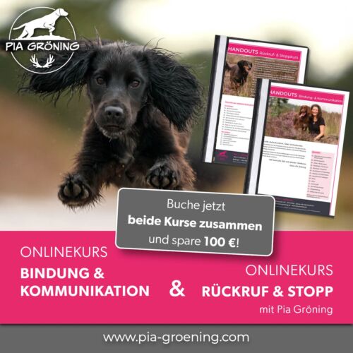 Paket Onlinekurse: Bindung & Kommunikation von Mensch & Hund + Rückruf & Stopp